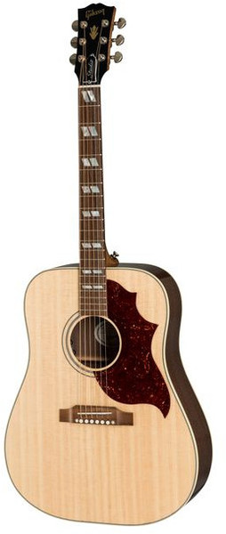Hummingbird Studio 2019 / Walnut (antique natural)