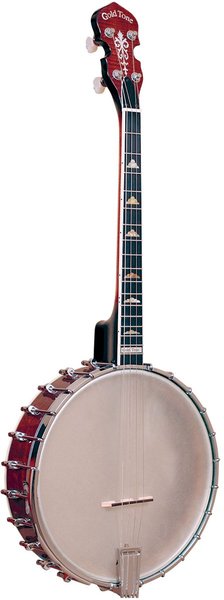 IT-250 Irish Tenor Banjo (vintage brown)