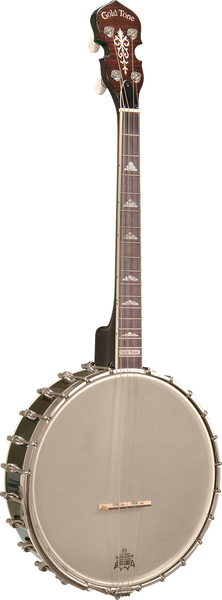 IT-250 Irish Tenor Banjo (vintage brown / fishman rare earth pickup)