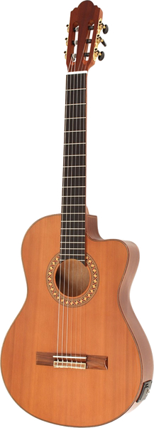 HC504-TCE (4/4 with pickup)