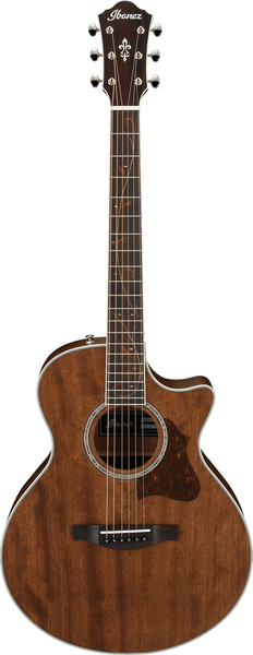 Ibanez AE245JR-OPN (Natural + Bag)