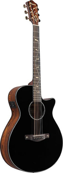 Ibanez AEG550 (black)