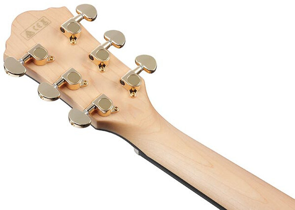 Ibanez AEG750 (natural)