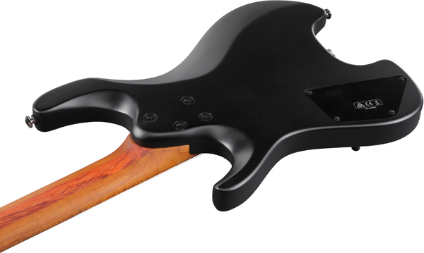Ibanez QX52-BKF (black flat, + bag) | MusiX