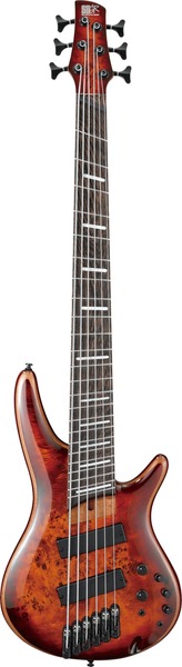 Ibanez SRMS806 (brown topaz burst)