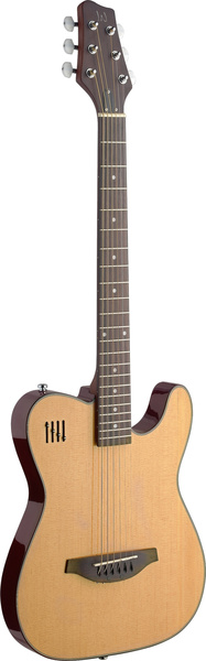 J.N Guitars EW3000CN (natural)