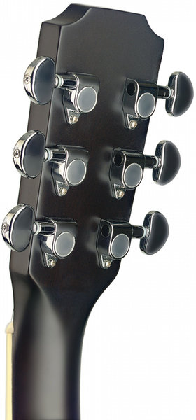 J.N Guitars EZR-OM (natural)