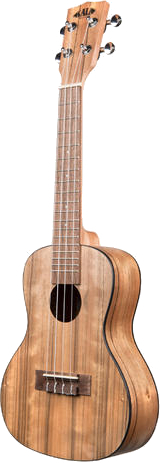 Kala Concert Ukulele RW Pacific Walnut / KA-PWC (incl. bag)