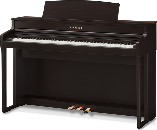 CA-501 (rosewood)