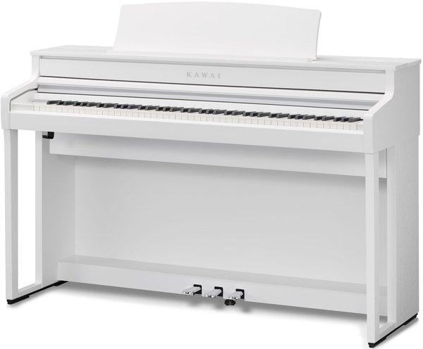 CA-501 (white)