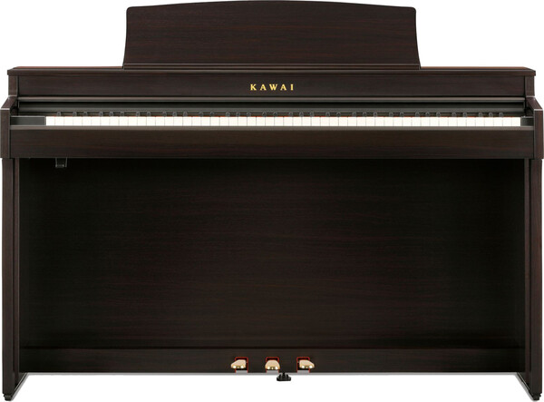CN-301 (rosewood)