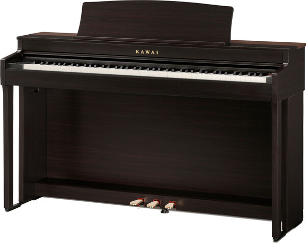 Kawai CN-301 (rosewood)