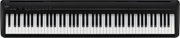 ES-120 (black)