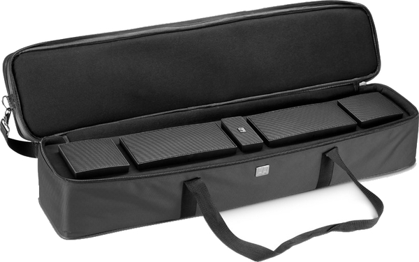 LD-Systems CURV 500 TS SAT BAG