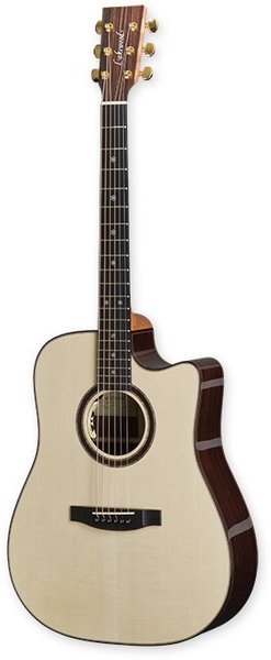 Lakewood D-32CP (Cutaway/Pickup)