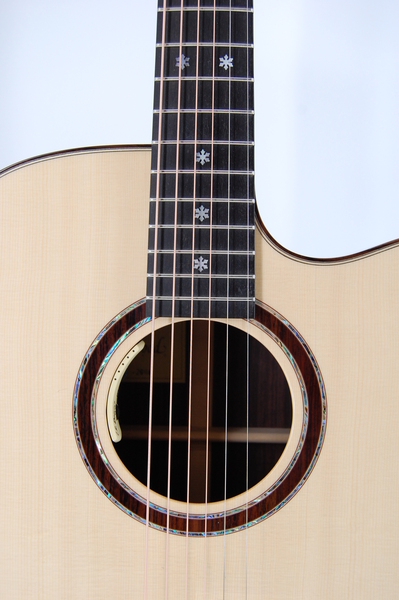 Lakewood D-32CP (Cutaway/Pickup)