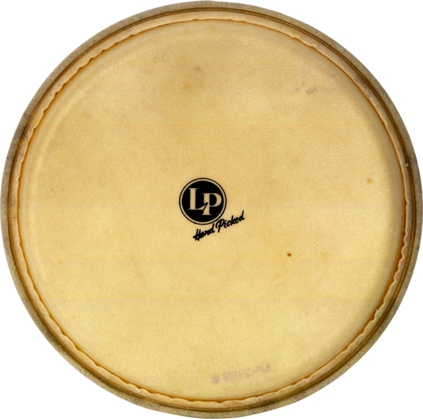 Head 11 3/4 Conga Patato