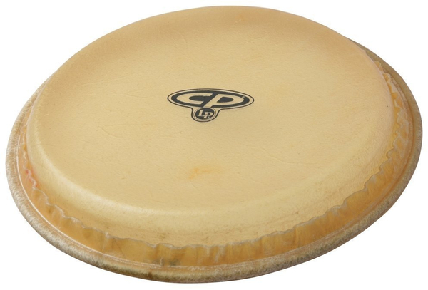 Head CP 265 B 11"