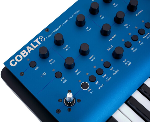 Modal Electronics Cobalt8