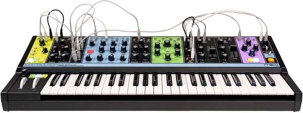 Moog Matriarch