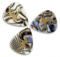 Abalone Shell (medium - 12 pieces)