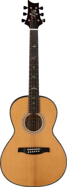 Parlor 50 Piezo / SE P50 (black gold gloss)