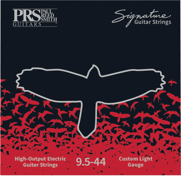Signature Strings - Custom Light (.095 - .044)