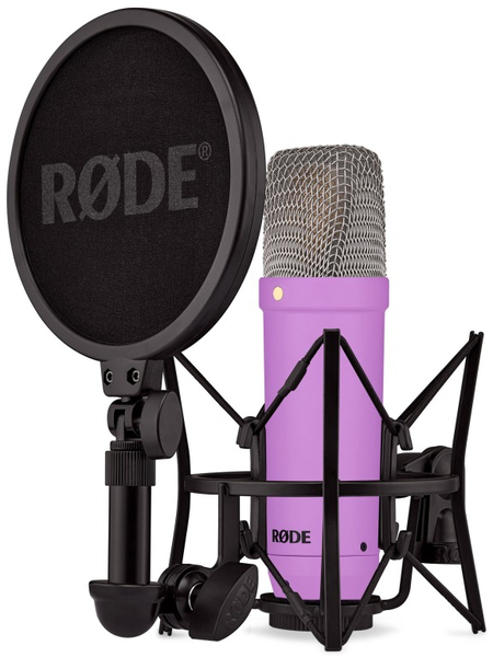 NT1 Signature (purple)