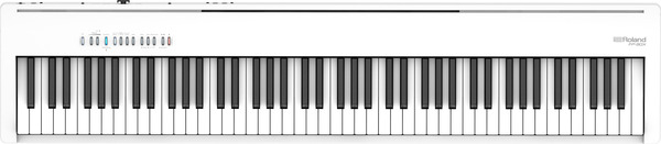 FP-30X (white)