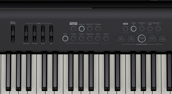 Roland FP-E50 (black)