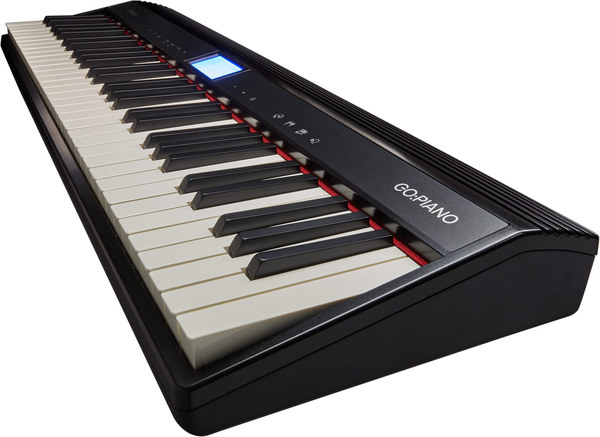 Roland GO:61P GO:Piano / GO-61P | MusiX
