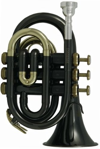 PT-101K (black)