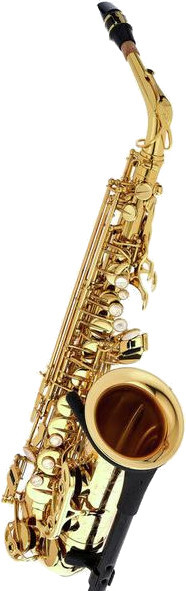 Selmer Axos / Alto Saxophone (clear lacquer with engraving)