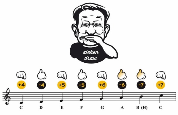 Seydel Junior Starter Kit Just Play Harmonica (C Major)