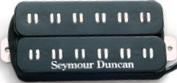 Parallel Axis Trembucker Original Neck / PATB-1 Neck (black)