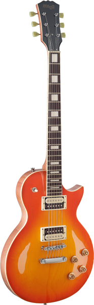 Les Paul Style Zebra (honeyburst)