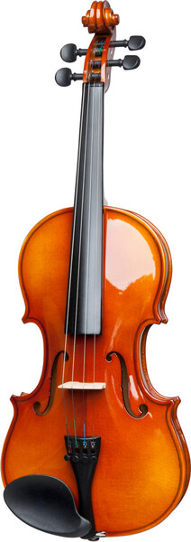 Stagg VN-4/4 Tonewood Violin (incl. soft case)