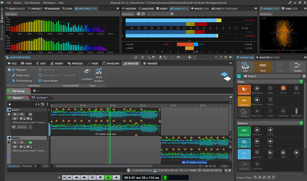 Steinberg Wavelab Pro 12 DAC (download version)