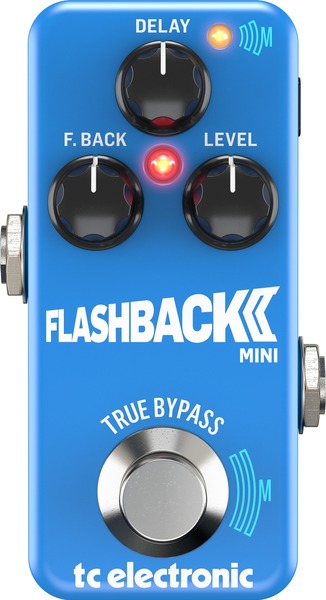 Flashback 2 Mini Delay