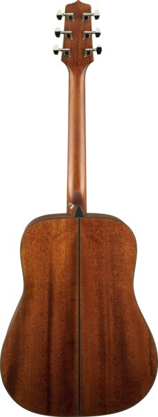 Takamine GD10-NS 2 (natural)