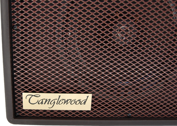 Tanglewood AC30