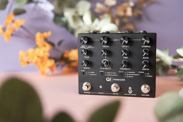 Walrus Audio Qi Etherealizer (Black) | MusiX