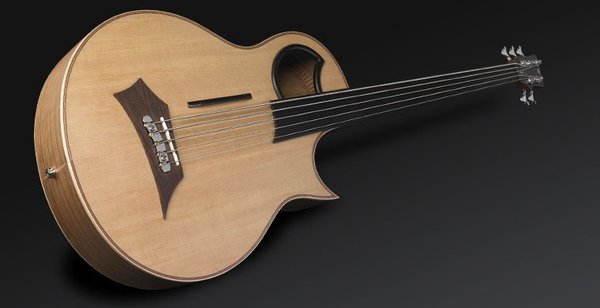 Warwick Alien Fretless 5-String (natural satin)