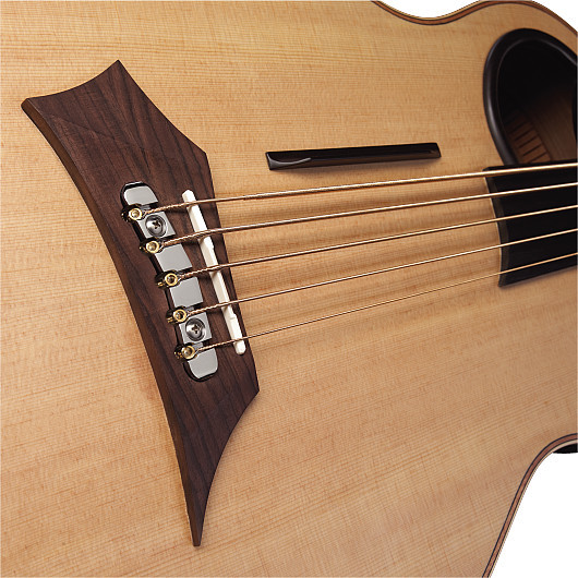 Warwick Alien Fretless 5-String (natural satin)