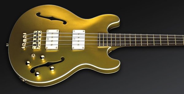 Warwick PS StarBass 5-String (gold matallic, passive, fretless)