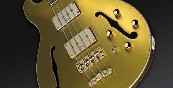 Warwick PS StarBass 5-String (gold matallic, passive, fretless)