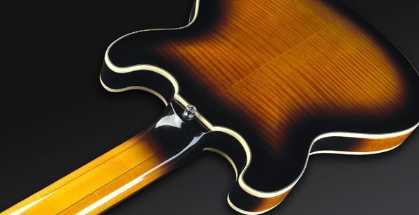 Warwick PS StarBass 5-String (vintage sunburst, passive, fretless)