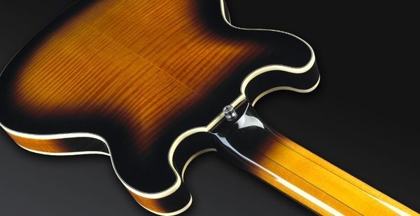Warwick PS StarBass 5-String (vintage sunburst, passive, fretless, left handed)
