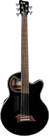 RockBass Alien Deluxe Hybrid Thinline 5-string (solid black satin)