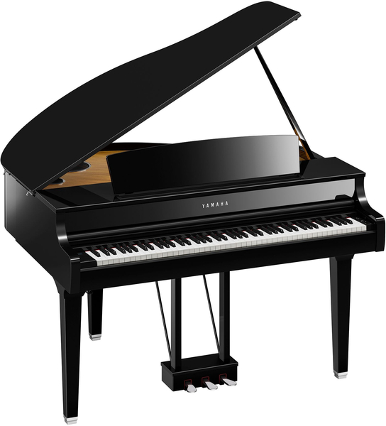 CLP-895GP (Black)
